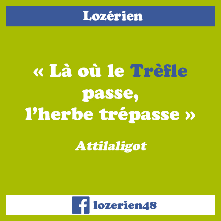Trèfle lozérien