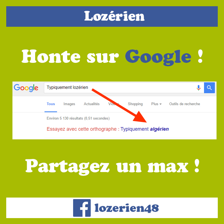 lozerien_google