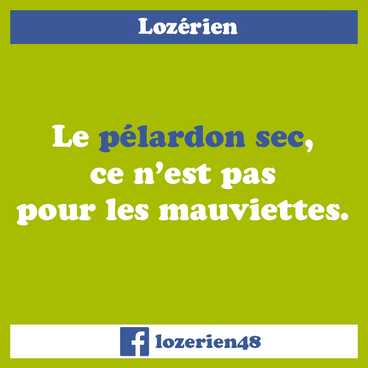 lozerien_pelardon