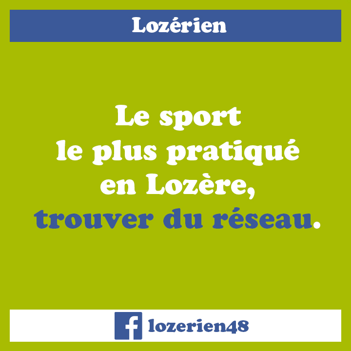 lozerien_reseau